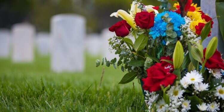 צילום: שאטרסטוק צילום: שאטרסטוק