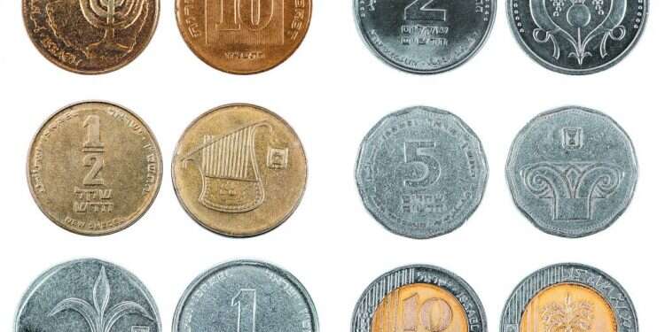 צילום: שאטרסטוק צילום: שאטרסטוק