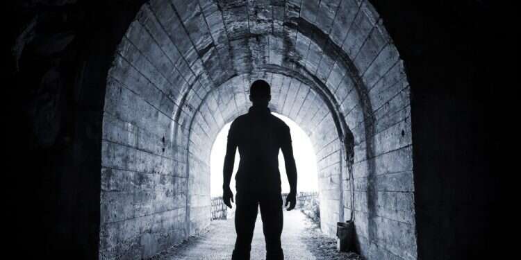 צילום: שאטרסטוק צילום: שאטרסטוק