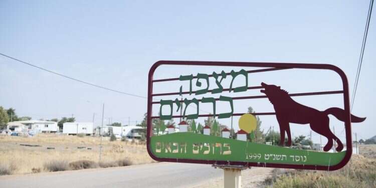 צילום: שריה דיאמנט "אנחנו אנשים, לא עציצים שמעבירים ממקום למקום"