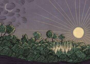 איור: שרון ארדיטי