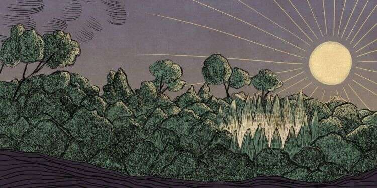 איור: שרון ארדיטי איור: שרון ארדיטי