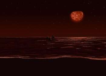 איור: שרון ארדיטי