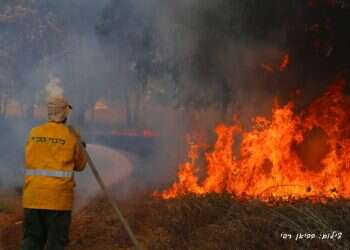 לוחם אש: סיור בשדות עוטף עזה החרוכים
