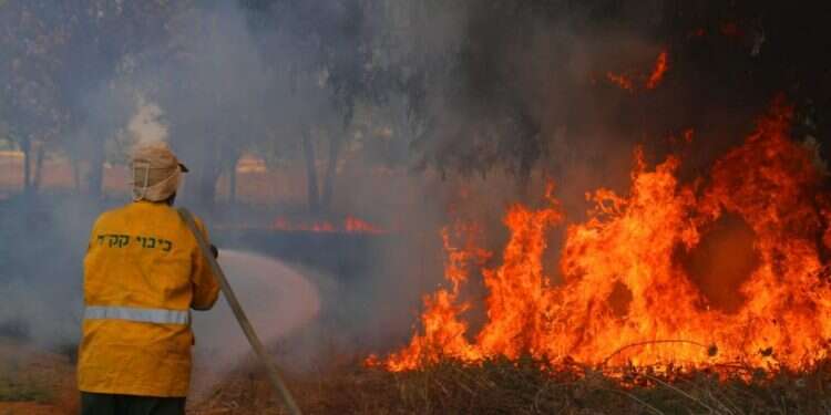 לוחם אש: סיור בשדות עוטף עזה החרוכים