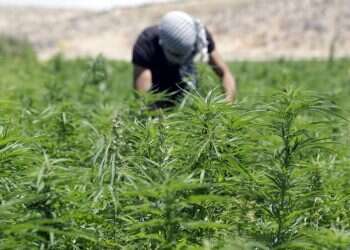 כסף מלוכלך: המאבק במקורות הפיננסיים של חיזבאללה מצליח