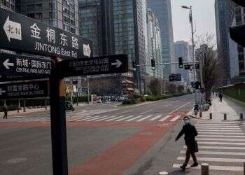 אילו מדינות הצליחו במאבק בקורונה ומדוע?