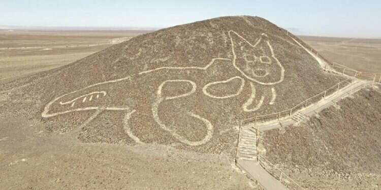 גאוגליף החתול באתר בפרו. צילום: AFP החתול המסתורי: חמישה דברים שלא ידעתם על קווי נסקה