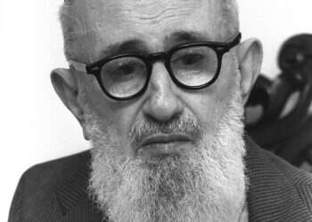 האם הרב סולובייצ'יק יצא להגנת הרב מאיר כהנא?