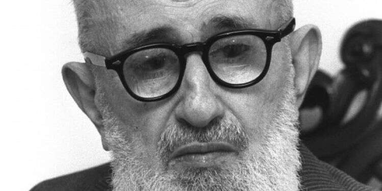 האם הרב סולובייצ'יק יצא להגנת הרב מאיר כהנא?