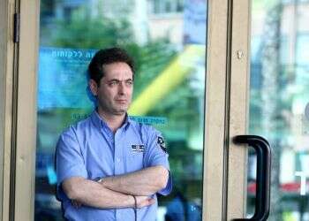 החתול שמיל ממולדובה: סיפור מרתק בעלילה אפרורית