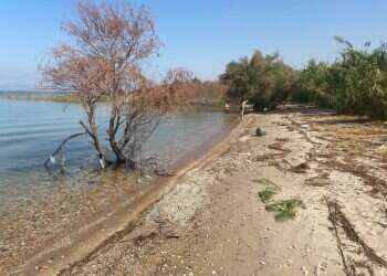 מסע נוגה ונטול פקקים בשבילי הצפון השוממים