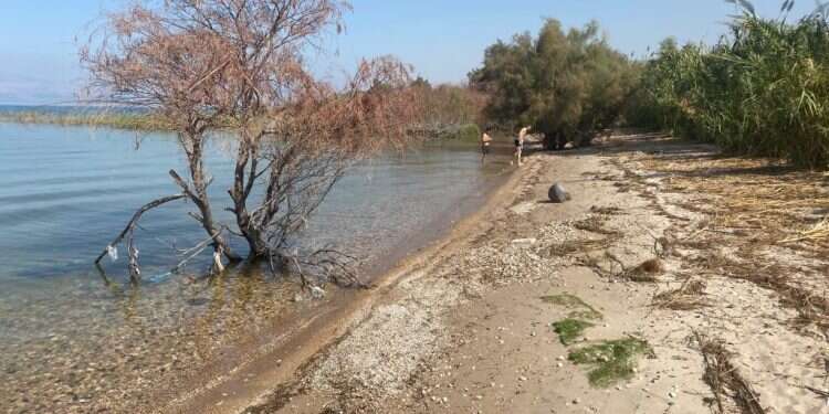 מסע נוגה ונטול פקקים בשבילי הצפון השוממים