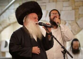 שתל נגונים: אחיו של דוד בן עמי סופד לו