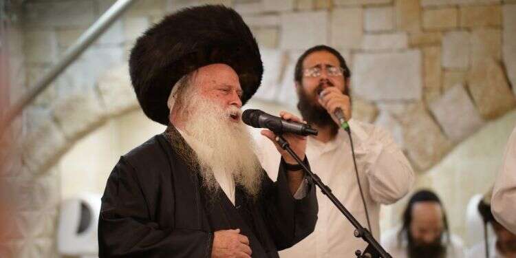 הניגון היהודי יישאר. רפאל דוד (דדי) בן־עמי. צילום: אברהם שפירא שתל נגונים: אחיו של דוד בן עמי סופד לו