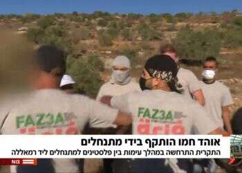 לא נעים להכיר: הארגון מאחורי ההתפרעות במסיק הזיתים