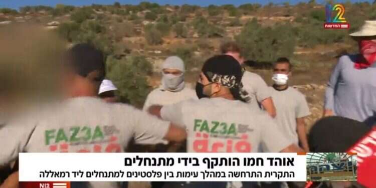 לא נעים להכיר: הארגון מאחורי ההתפרעות במסיק הזיתים