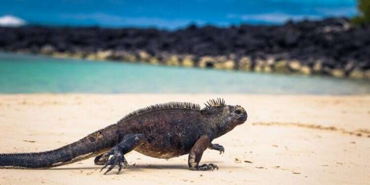 ריחות של שינוי: המחקר הישראלי שיציל את האטמוספירה