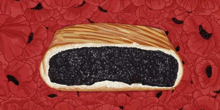 איור: שרון ארדיטי איור: שרון ארדיטי