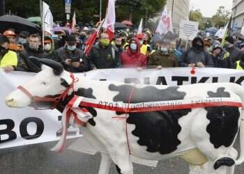 ייצוא בשר כשר מפולין צפוי להיפסק בשנת 2025
