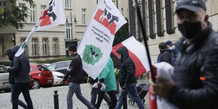 הפגנה נגד איסור שחיטה בפולין. צילום: AP ייצוא בשר כשר מפולין צפוי להיפסק בשנת 2025