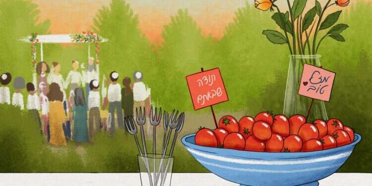 איור: נעמה להב