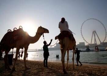 "ניתן מענה לכל התיירים": הקהילה בדובאי מפתחת מערך כשרות