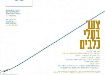 מוצש 500: הקרב על האימוץ של הכלב בלונדי