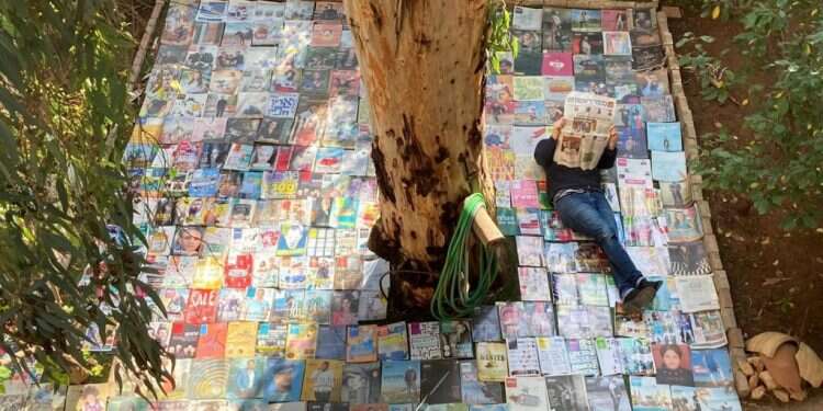 צילום: שרה הפשטיין