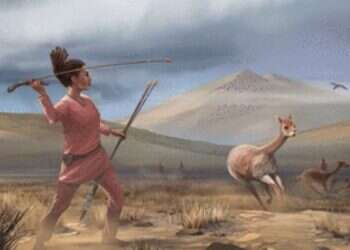 פמיניזם פרה-היסטורי: ממצאים מפתיעים על חלוקת התפקידים העתיקה