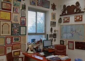 סיפורים מן הגניזה: ההיסטוריה היהודית דרך הדפים הישנים