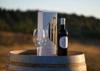 יקב בוטיק עם מרכז מבקרים שיעסוק ביין ובמקדש