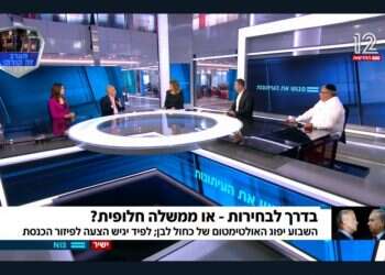 איזון פוליטי גרסת רינה מצליח