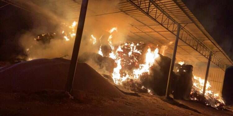 הצתות, גנבות ודמי חסות: הטרור החקלאי מכה בצפון