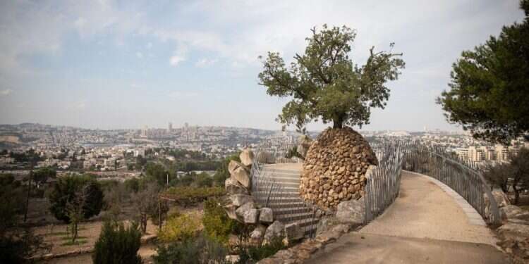 צילום: הדס פרוש, פלאש 90