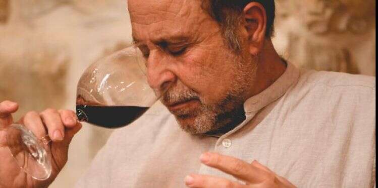 יקב בוטיק עם מרכז מבקרים שיעסוק ביין ובמקדש