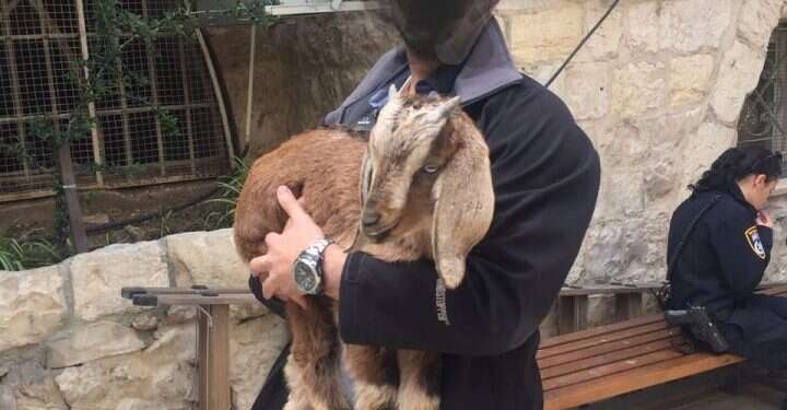 שוטר אוחז בגדי שנתפס בערב פסח תשע השופטת קבעה: אזיקת נער שעמד להקריב קרבן פסולה