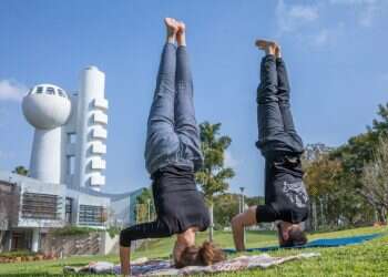 מכון ויצמן: כך המוח שלנו מייצר רעיונות יצירתיים