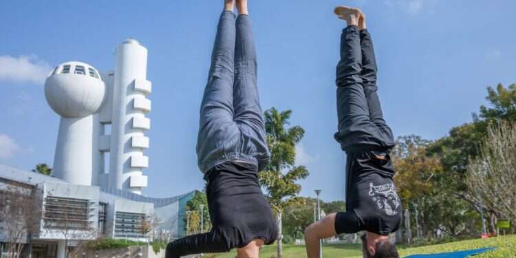 מכון ויצמן. צילום: יוסי אלוני מכון ויצמן: כך המוח שלנו מייצר רעיונות יצירתיים