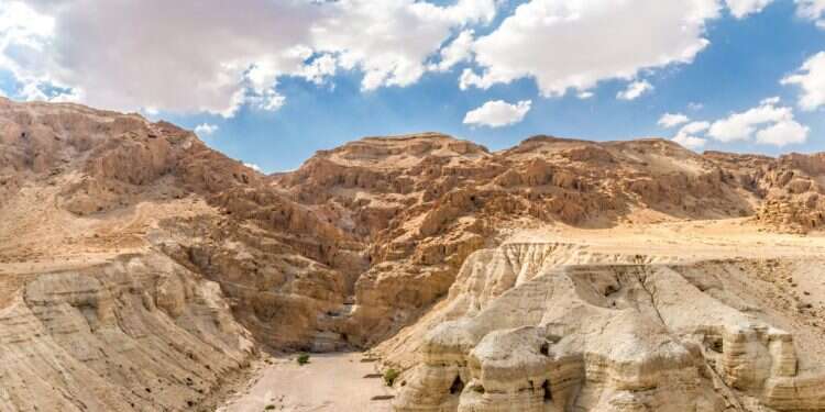 11 מערות הניבו עשרות אלפי קטעי מגילות. קומראן. צילום: שאטרסטוק הארכיאולוגית שפיצחה סודות יהודיים בני אלפי שנים