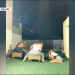 נכנענו לעולם וירטואלי חסר רחמים ששמו טיקטוק