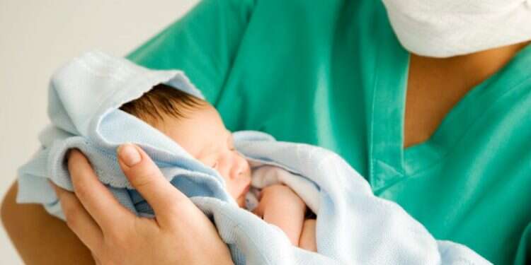 צילום: שאטרסטוק הורות בסיכון: הקורונה הרחיקה פעוטות מהסבתות ומטיפת חלב