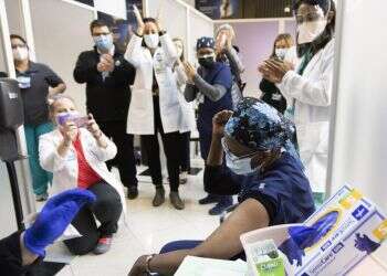 חזירות בכשרות מהודרת: הקפיטליזם הציל אותנו מהקורונה