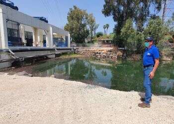 סכר דגניה, בסוף אפריל. צילום: יאיר קראוס