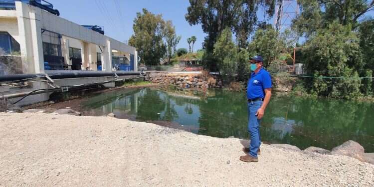 סכר דגניה, בסוף אפריל. צילום: יאיר קראוס