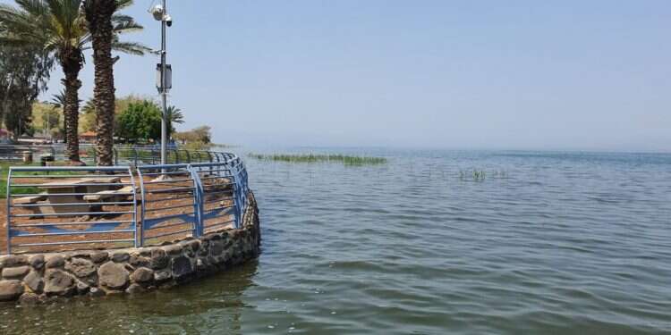 הכנרת סמוך לסכר דגניה בשיא גובה המפלס, סוף חורף 2020. צילום: יאיר קראוס אחד מחמשת החורפים השחונים בהיסטוריה: איך מתמודדים עם המחסור בגשם?