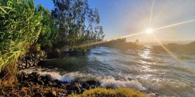 סכר דגניה, אפריל 2020. צילום: יאיר קראוס