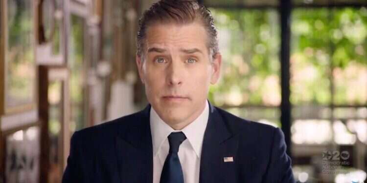 עכשיו זה רשמי: בנו של ביידן חשוד בשחיתות