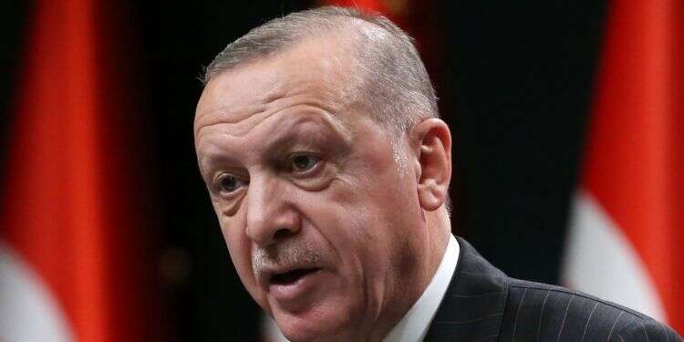 ארדואן. צילום: AFP ייבשו אותו: כך סייעה הקורונה לסין לסחוט הישג מארדואן