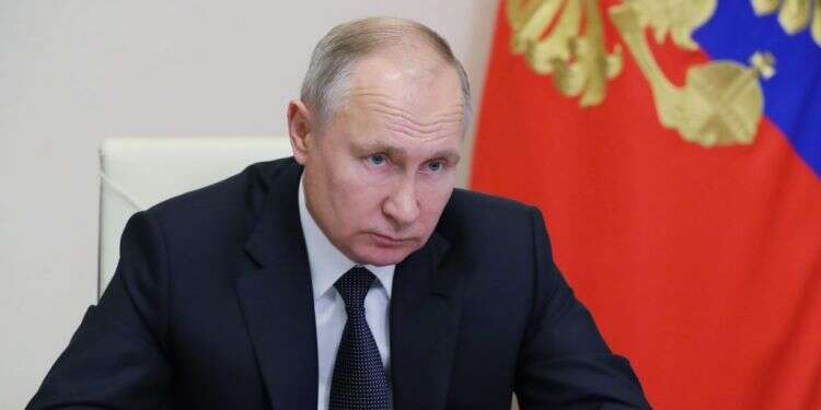 נשיא רוסיה ולדימיר פוטין. צילום: AFP צילום: AFP